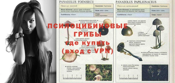 гидропоника Горняк