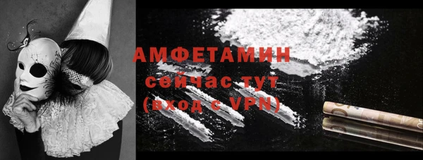 гидропоника Горняк